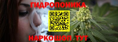 скорость Будённовск