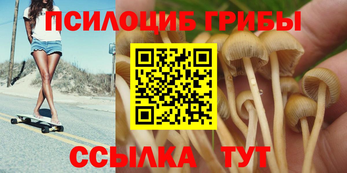 Галлюциногенные грибы мухоморы Котельники