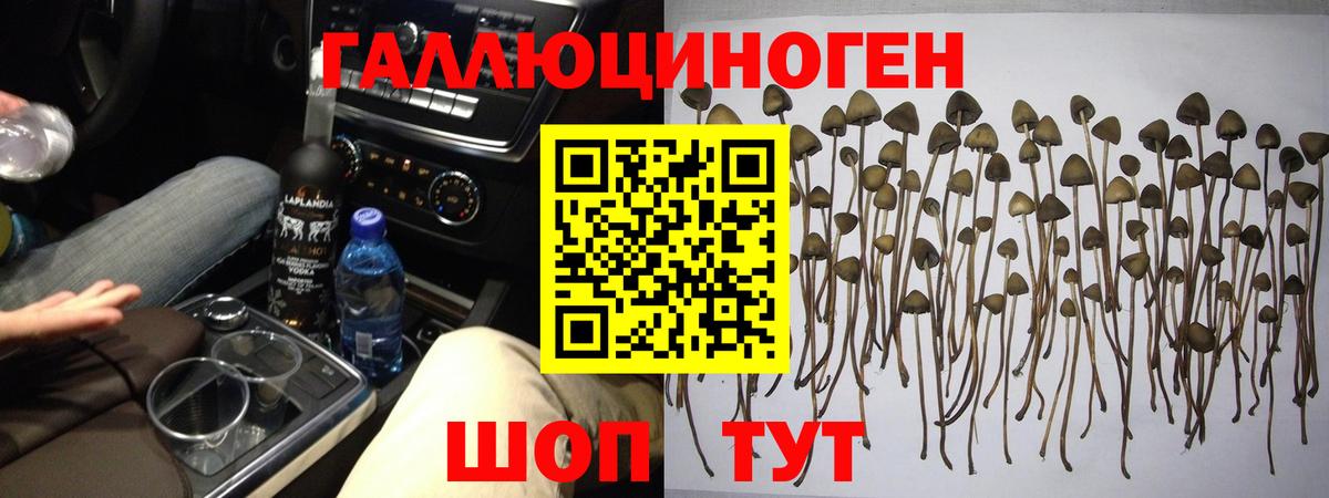 Котельники  Галлюциногенные грибы MAGIC MUSHROOMS  Вход с VPN 